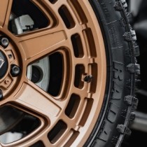 Ford Raptor 2023 - Jante en alliage Predator Wolf de 20 po - Bronze